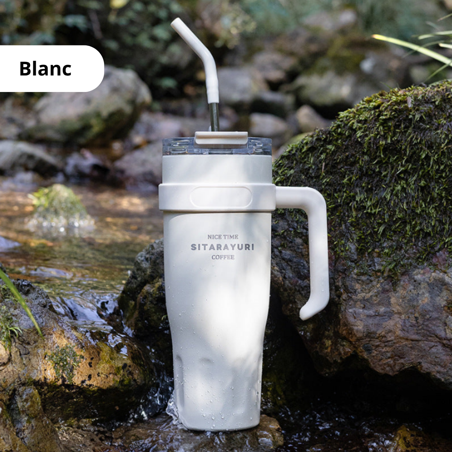SITARAYURI® Cup